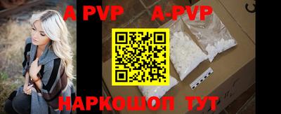 стаф Аргун