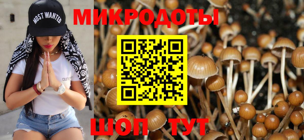 Галлюциногенные грибы прущие грибы Бузулук