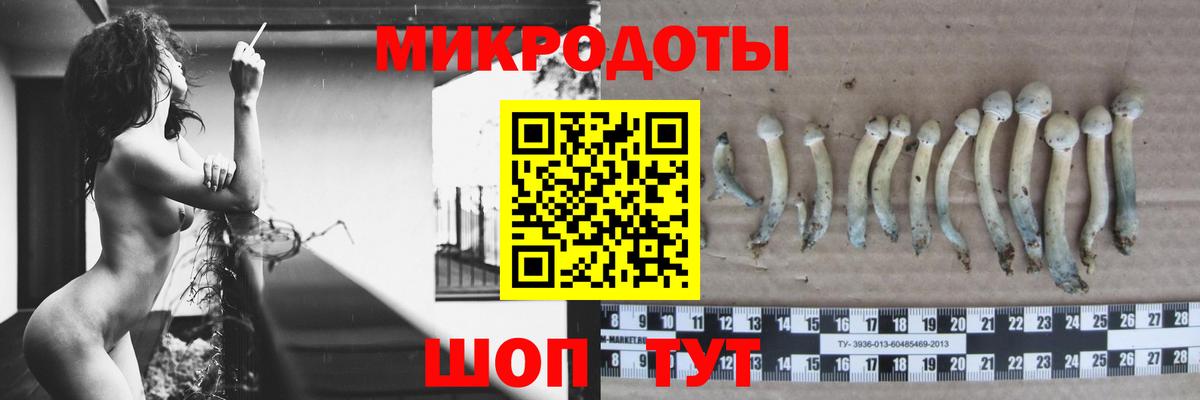 Бузулук  Псилоцибиновые грибы Cubensis  что такое   Вход с VPN  Галлюциногенные грибы мухоморы 